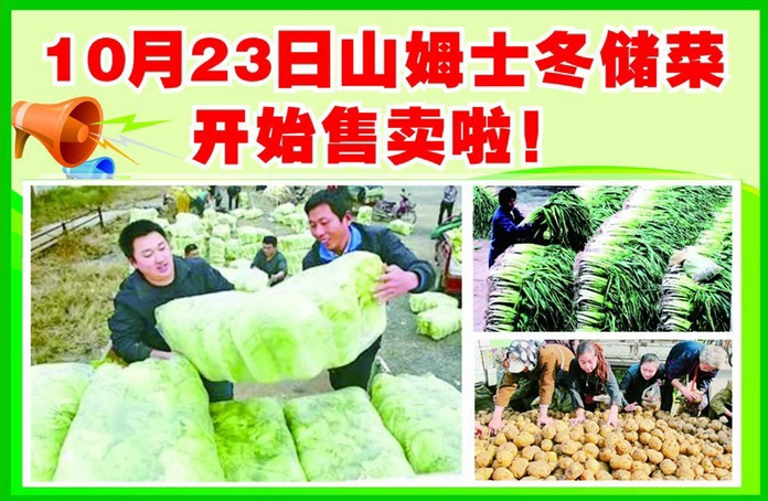 冬储菜.png
