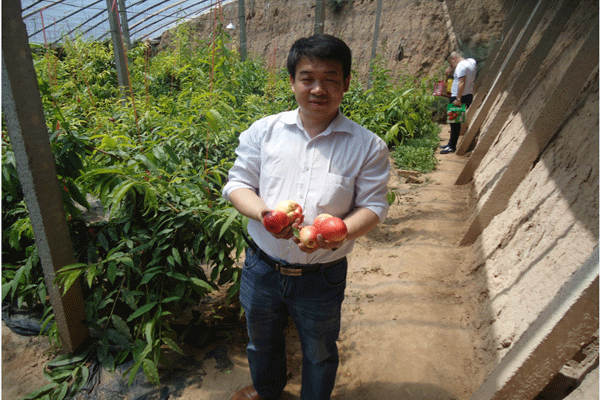 QQ图片20150521114716.png